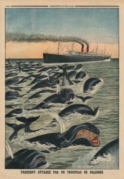 A Shoal of Whales Attacking a Liner, Back Cover Illustration from 